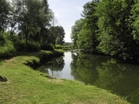 DSCN5150
