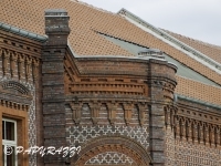 _DSC7214