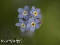 _DSC8798