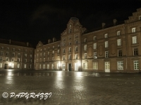 _DSC7685