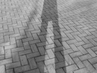 DSCN4791