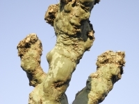 DSCN4799