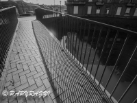 _DSC0381