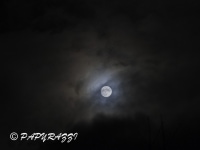 _DSC0825