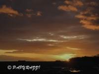 DSCN5365