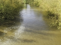 DSCN5369