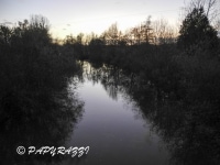 DSCN5417