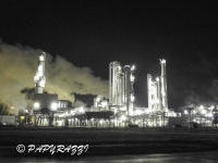 DSCN5431