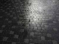 DSCN3244