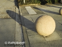 DSCN4800