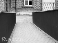 _DSC2265