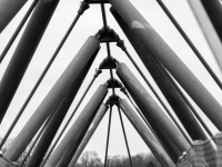 _DSC2272