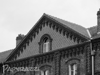 _DSC2278