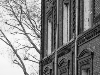 _DSC2280