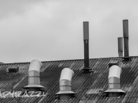 _DSC2287