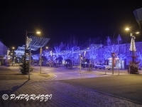 _DSC0406