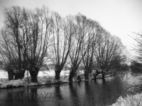 _DSC5205