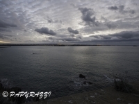 _DSC3838
