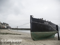 _DSC3919
