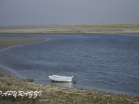 _DSC3431