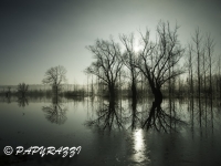 _DSC4227