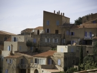 _DSC0113.jpg