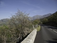 _DSC9699.jpg