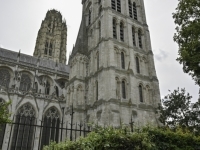 DSC_7446